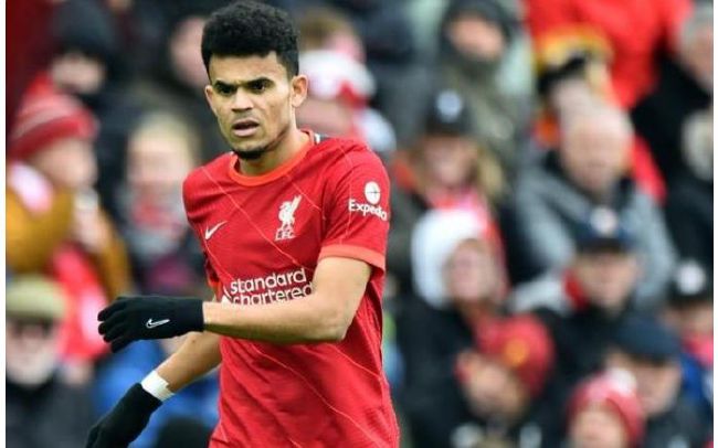 久久噜噜噜