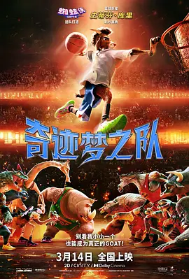 午夜一级视频