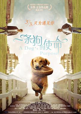 一区二区三区国产美女在线播放