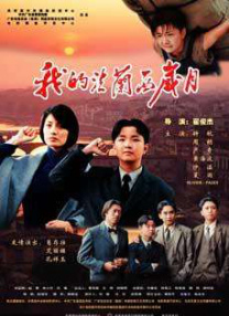 第九色婷婷
